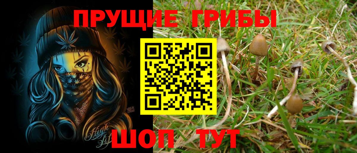 Владивосток  как найти закладки  Вход с VPN  Галлюциногенные грибы GOLDEN TEACHER 